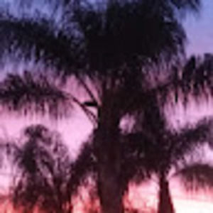 Meet your Posher, Scarlett